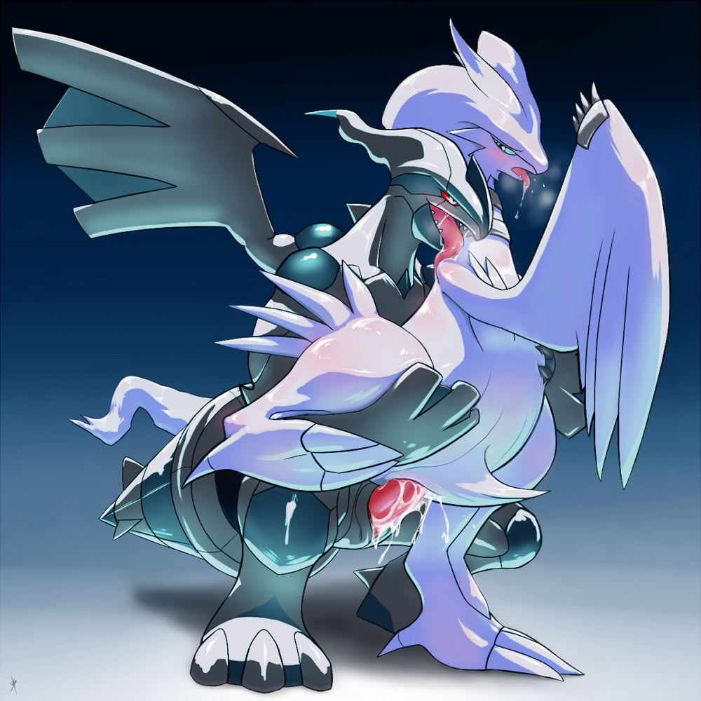 Rule34 – If it exists, there is porn of it / bamia, legendary pokemon, reshiram, zekrom / 496342