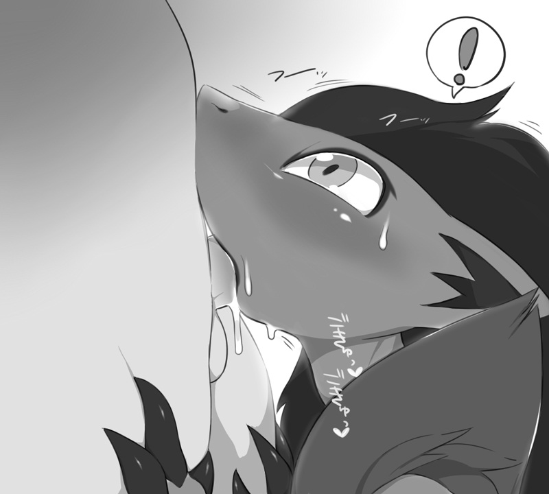 Rule34 – If it exists, there is porn of it / zoroark / 498095