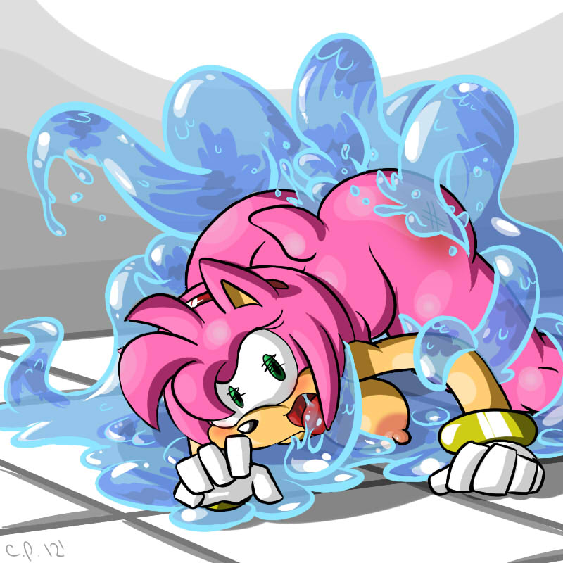 Rule34 – If it exists, there is porn of it / epicchase, amy rose / 500837