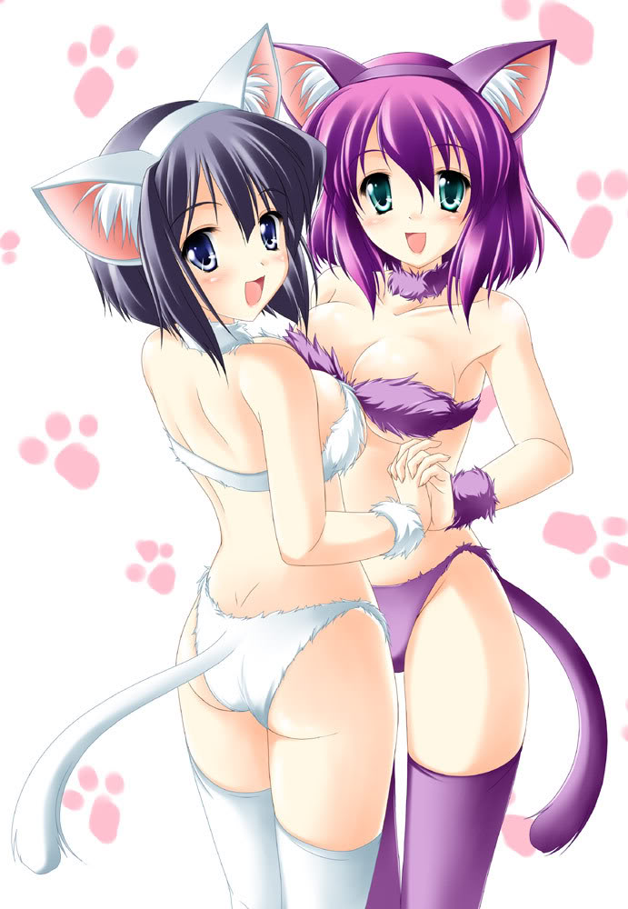abu, kamiya tomoe, henrietta de tristain, zero no tsukaima, fur, siesta, jpeg artifacts, 2girls, animal ears, bikini, black hair, blue eyes, breast press, breasts, cat ears, cosplay, green eyes, holding hands, hug, multiple girls, purple hair, short hair, swimsuit, symmetrical docking, tail, yuri