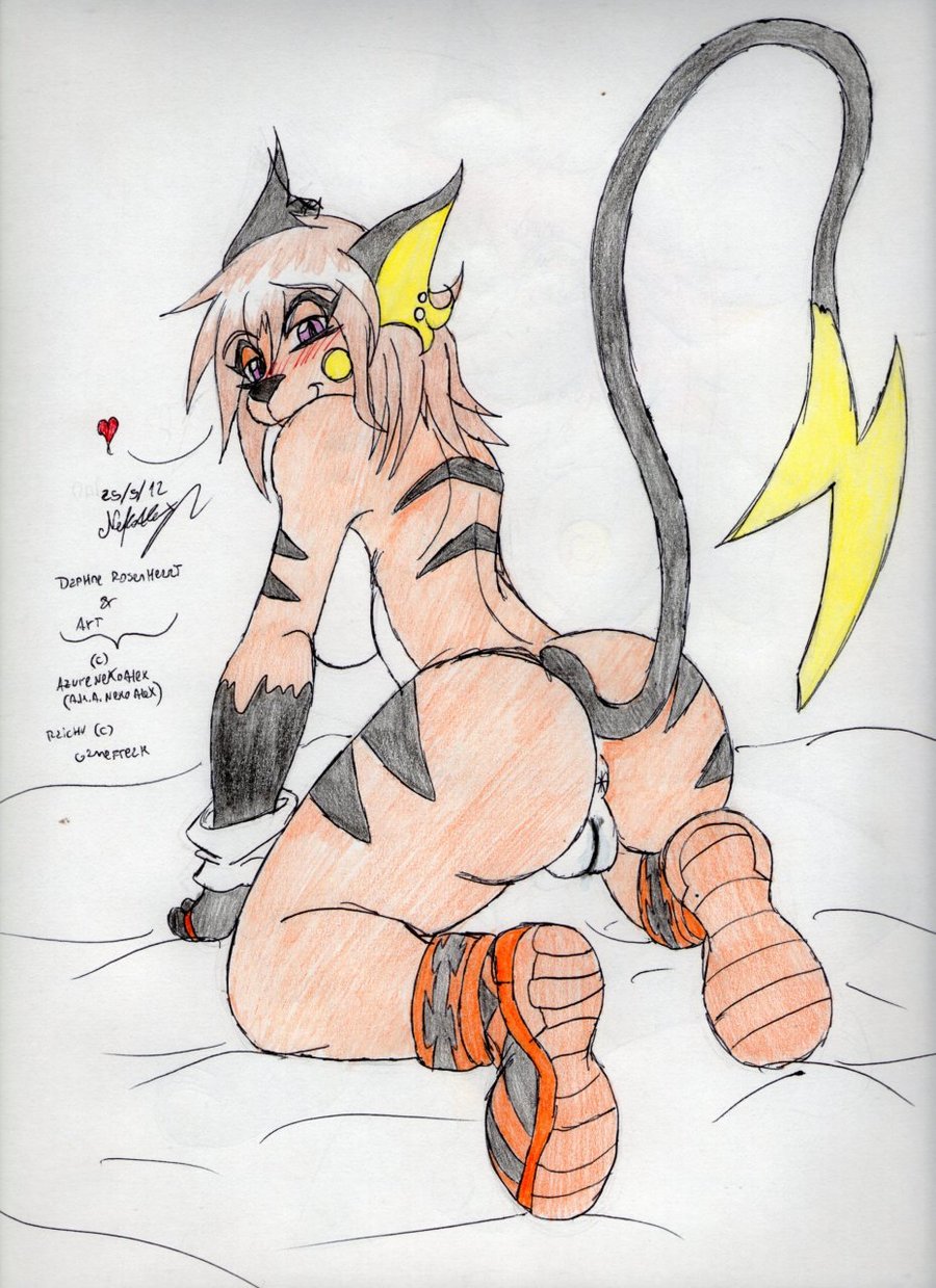 Rule34 – If it exists, there is porn of it / azurenekoalex, raichu / 502016