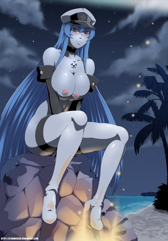 Rule34 – If it exists, there is porn of it / esdeath (akame ga kill!) / 502118