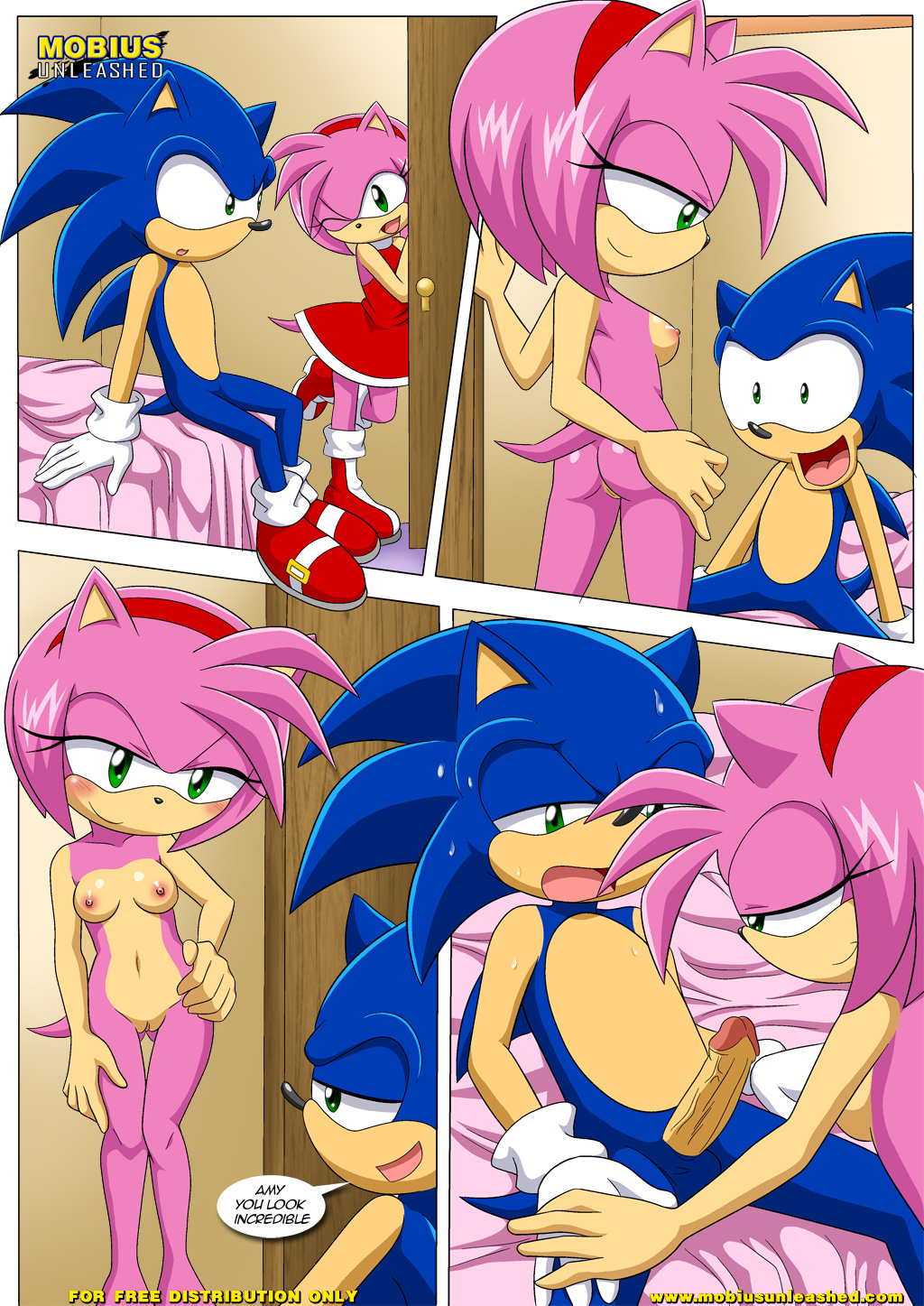 Rule34 – If it exists, there is porn of it / bbmbbf, palcomix, amy rose, sonic the hedgehog / 502157