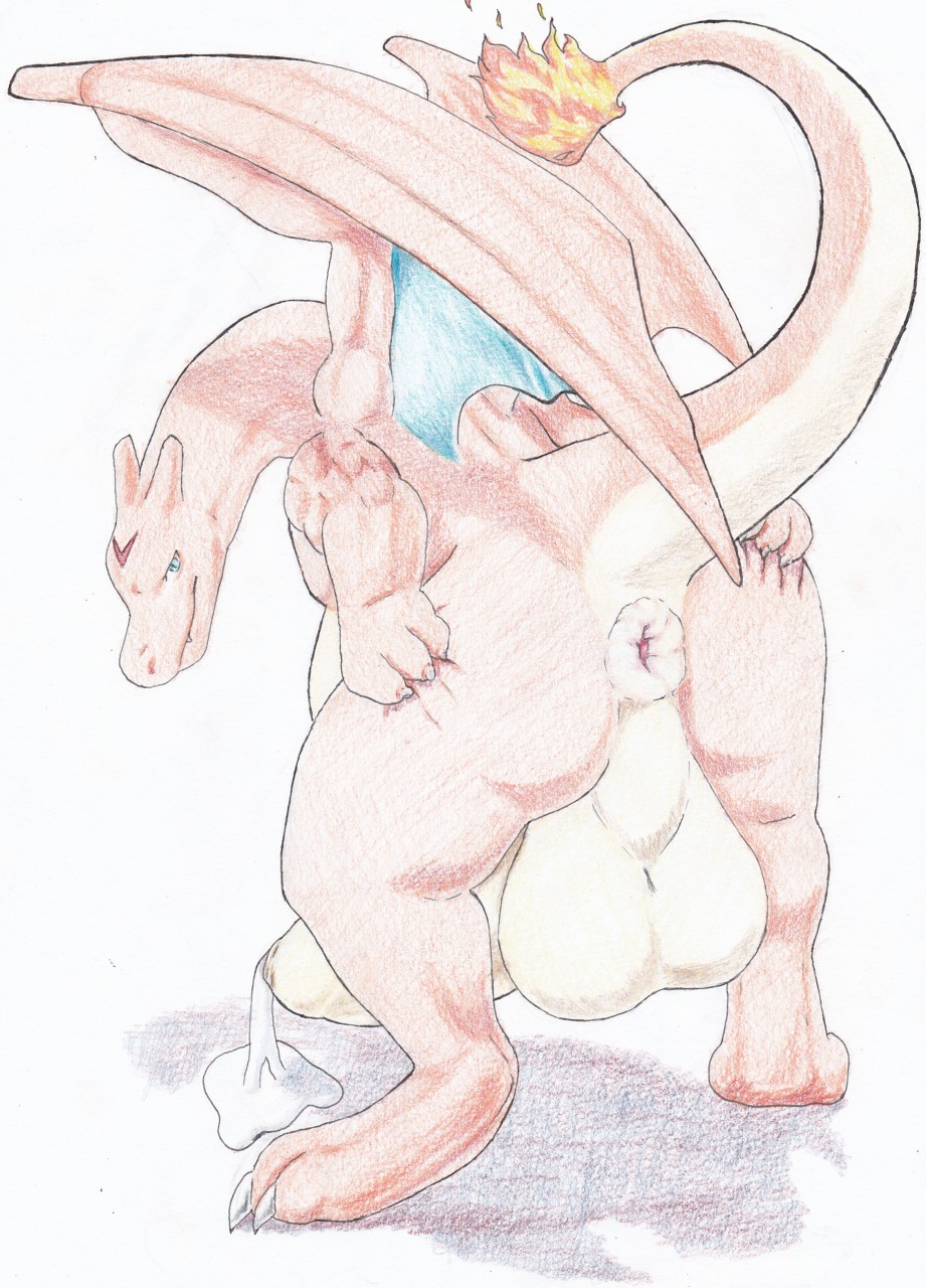 Rule34 – If it exists, there is porn of it / charizard / 502749