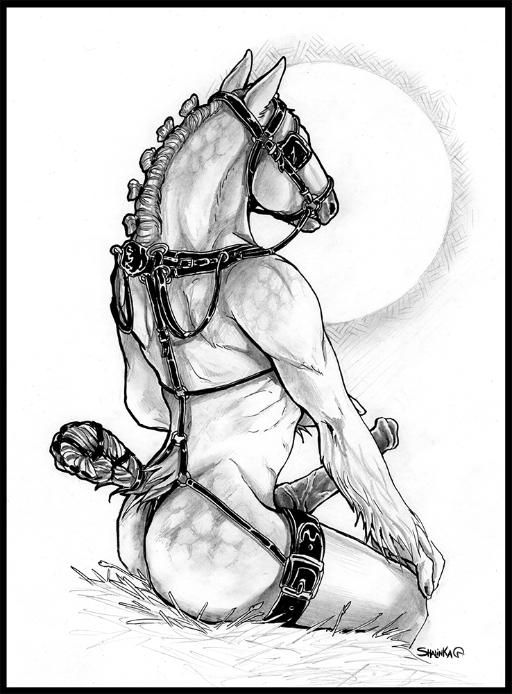 Rule34 – If it exists, there is porn of it / shalinka / 502822