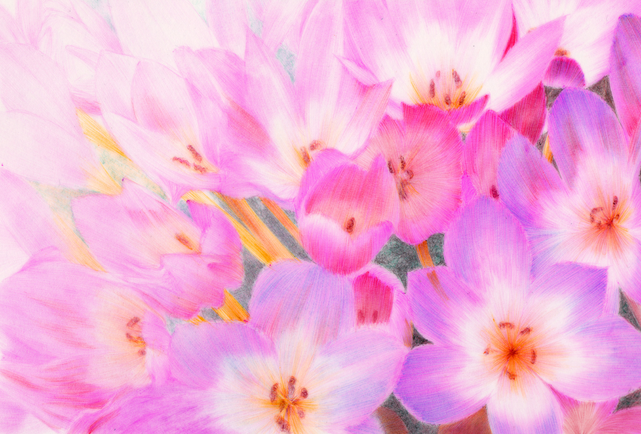 bronco, original, ballpoint pen (medium), commentary, english commentary, flower request, highres, pen (medium), traditional media, dated commentary, flower, flower focus, no humans, pink flower, too many flowers