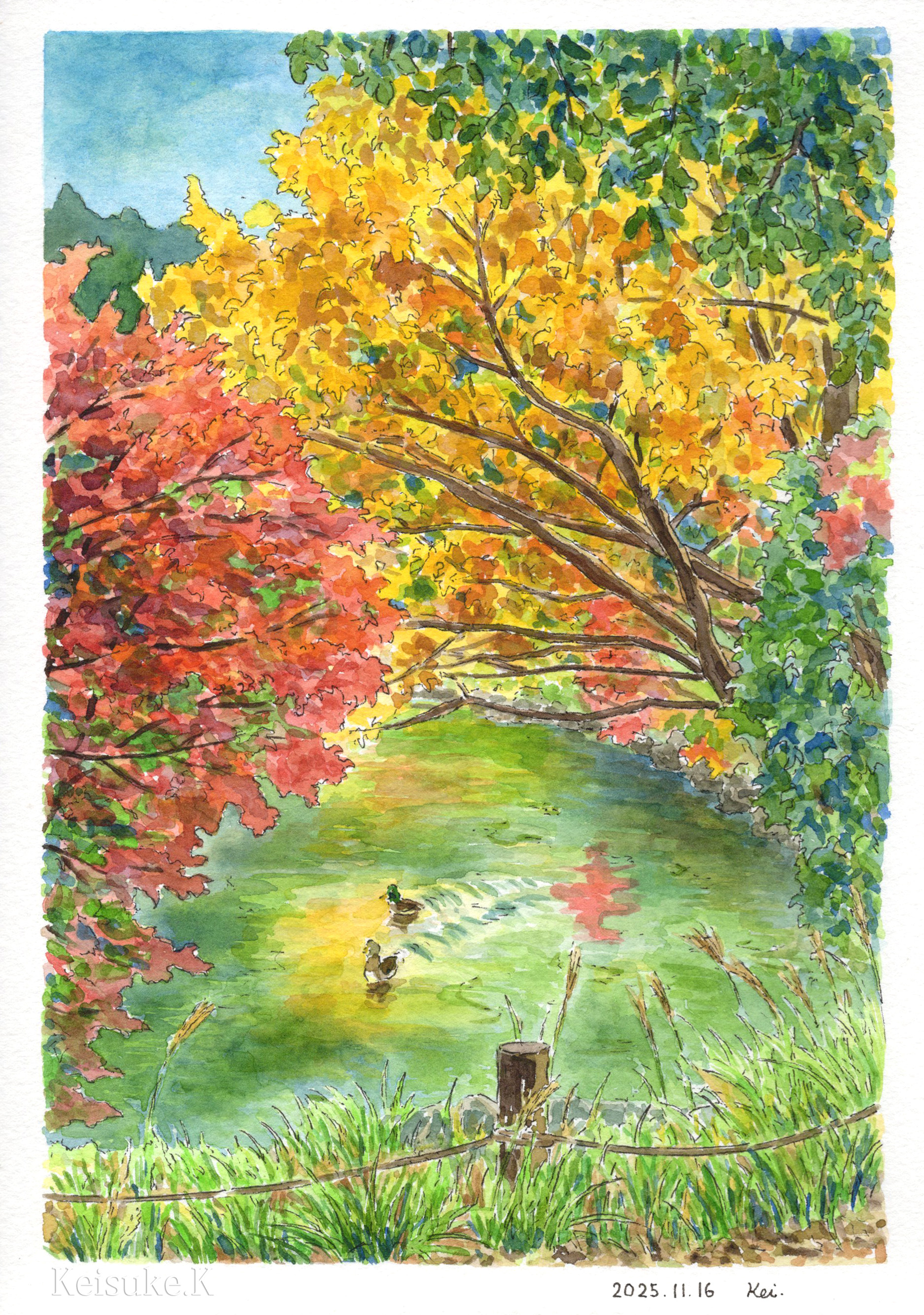 keisuke k (enyahoro), original, absurdres, commentary request, highres, painting (medium), traditional media, watercolor (medium), artist name, autumn, autumn leaves, bird, border, colorful, dated, day, duck, grass, leaf, nature, no humans, outdoors, pond, scenery, signature, tree, water, white border