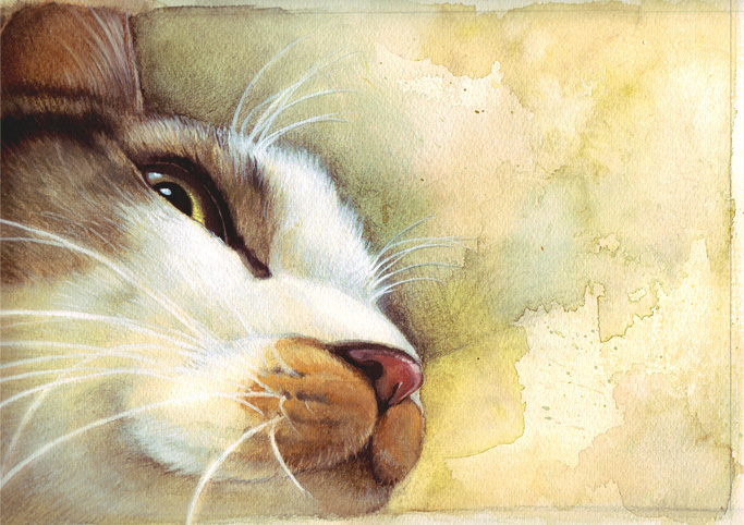 sky-art, bad id, bad pixiv id, tagme, cat, no humans, realistic