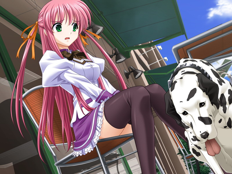 delta (delta0127), aihara sarina, leo (shiiku hakusho), shiiku hakusho, 1girl, bestiality, dalmatian, dog, female focus, green eyes, pink hair, thighhighs