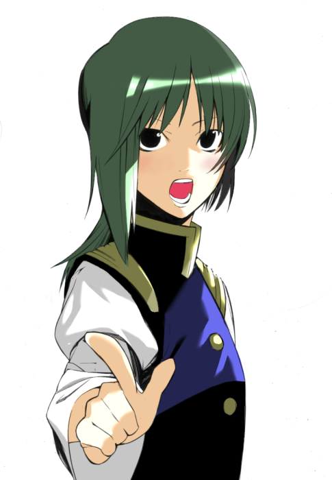 onigunsou, shiki eiki, touhou, 1girl, female focus, foreshortening, green hair, open mouth, simple background, solo, upper body, white background