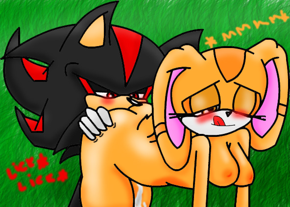 Rule34 – If it exists, there is porn of it / cream the rabbit, shadow the hedgehog / 504659