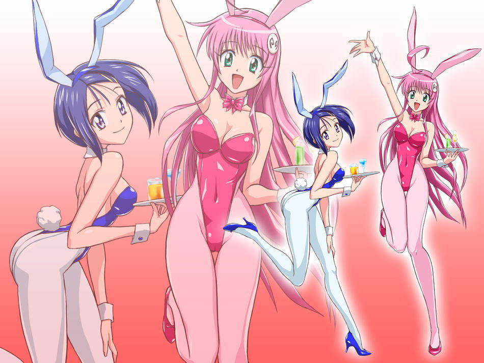 lala satalin deviluke, sairenji haruna, to love-ru, tagme, 2girls, animal ears, blue hair, long hair, multiple girls, pink hair, playboy bunny, rabbit ears, short hair, smile