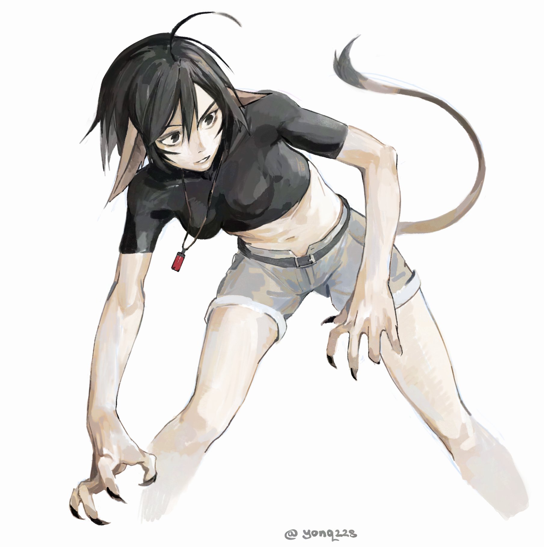yonq98, highres, tagme, 1girl, animal ears, belt, black hair, jewelry, midriff, necklace, shorts, tail