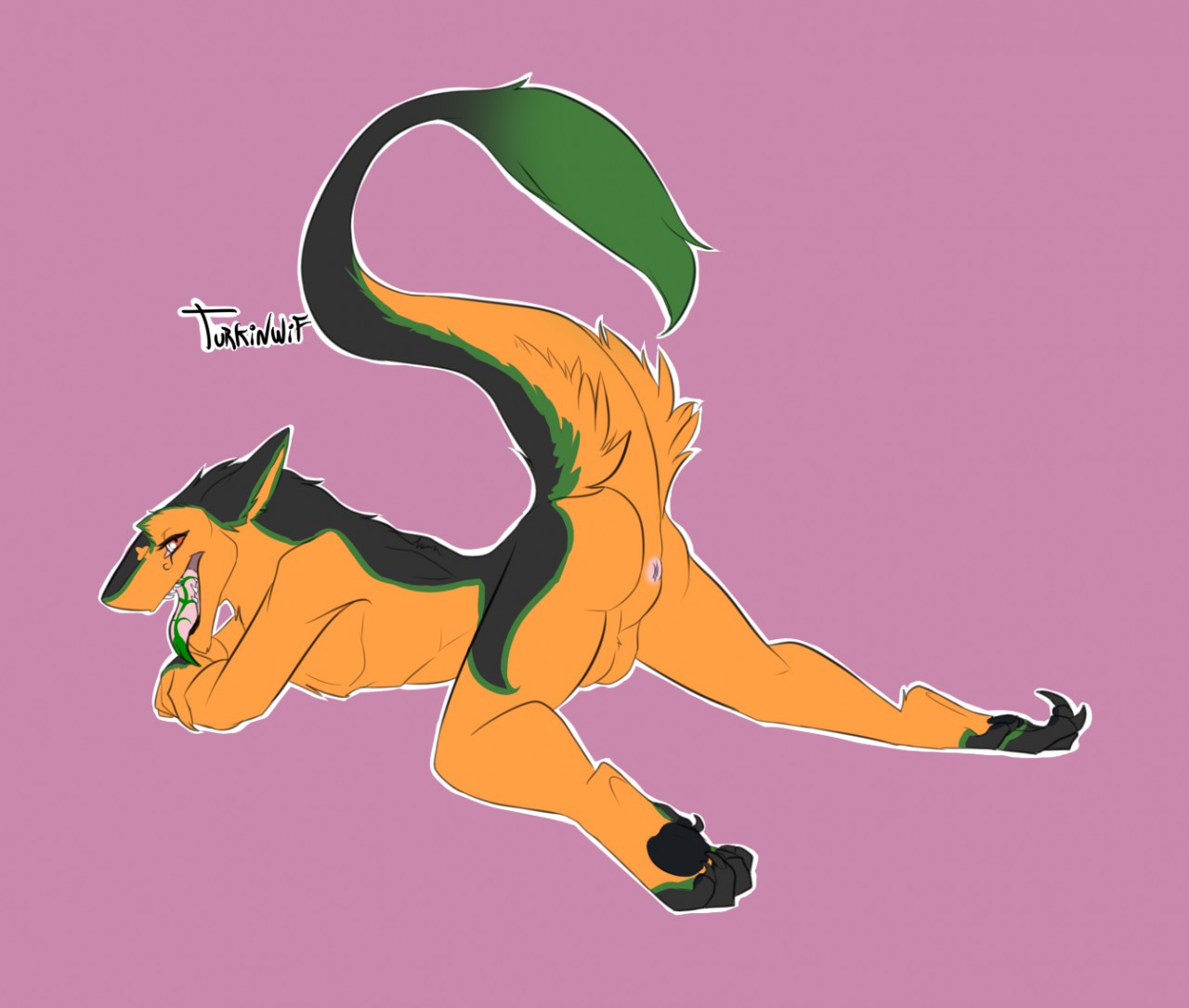 Rule34 – If it exists, there is porn of it / sheycra (artist), turkinwif (male) / 505140