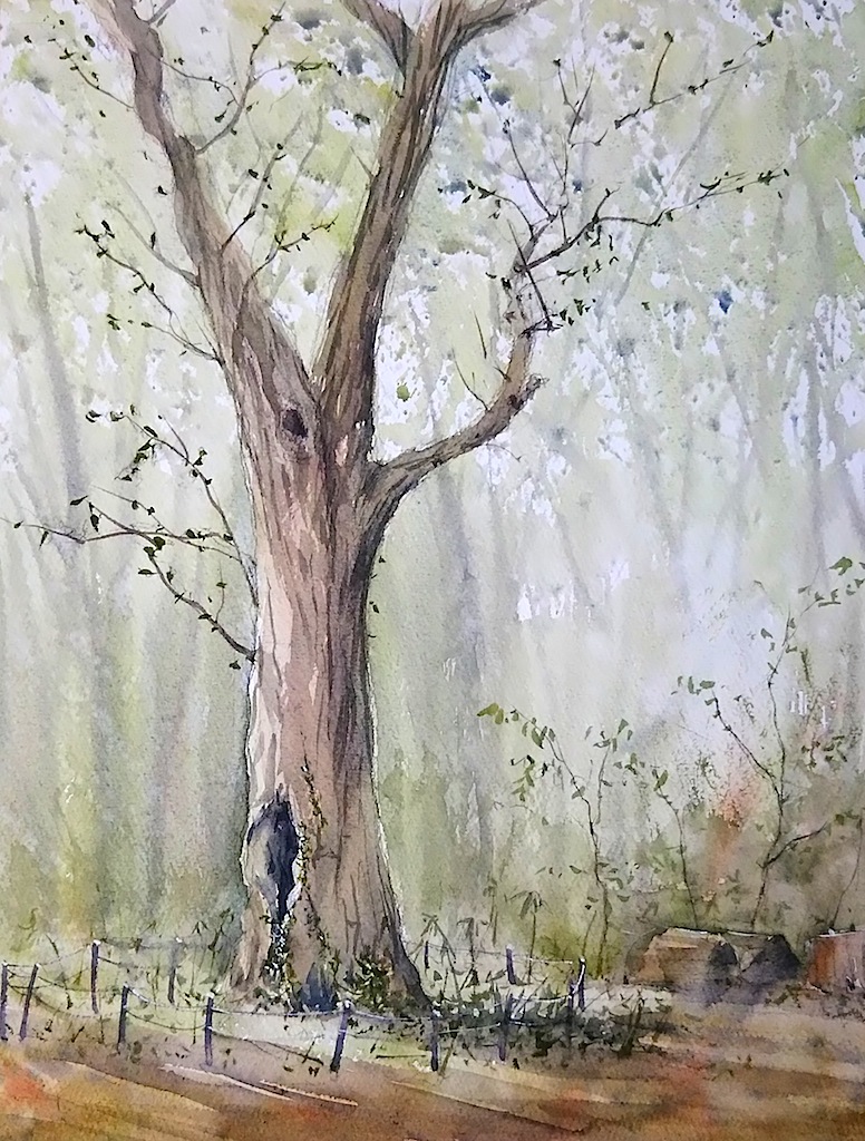 tj (tenjiku200), original, commentary request, painting (medium), traditional media, watercolor (medium), day, forest, nature, no humans, outdoors, real world location, scenery, tree