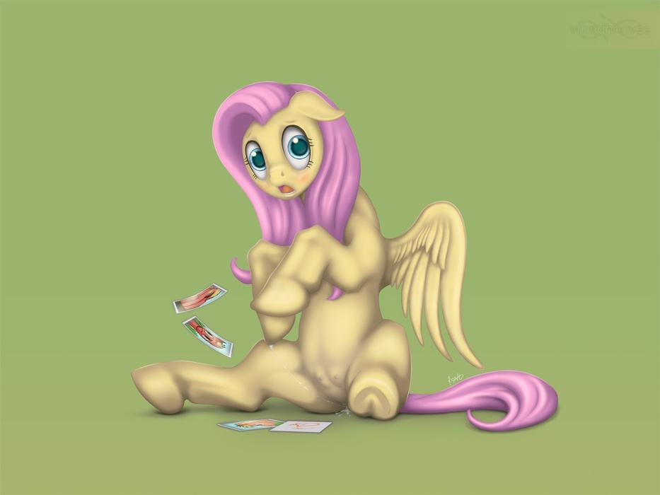 Rule34 – If it exists, there is porn of it / fluttershy (mlp) / 505592