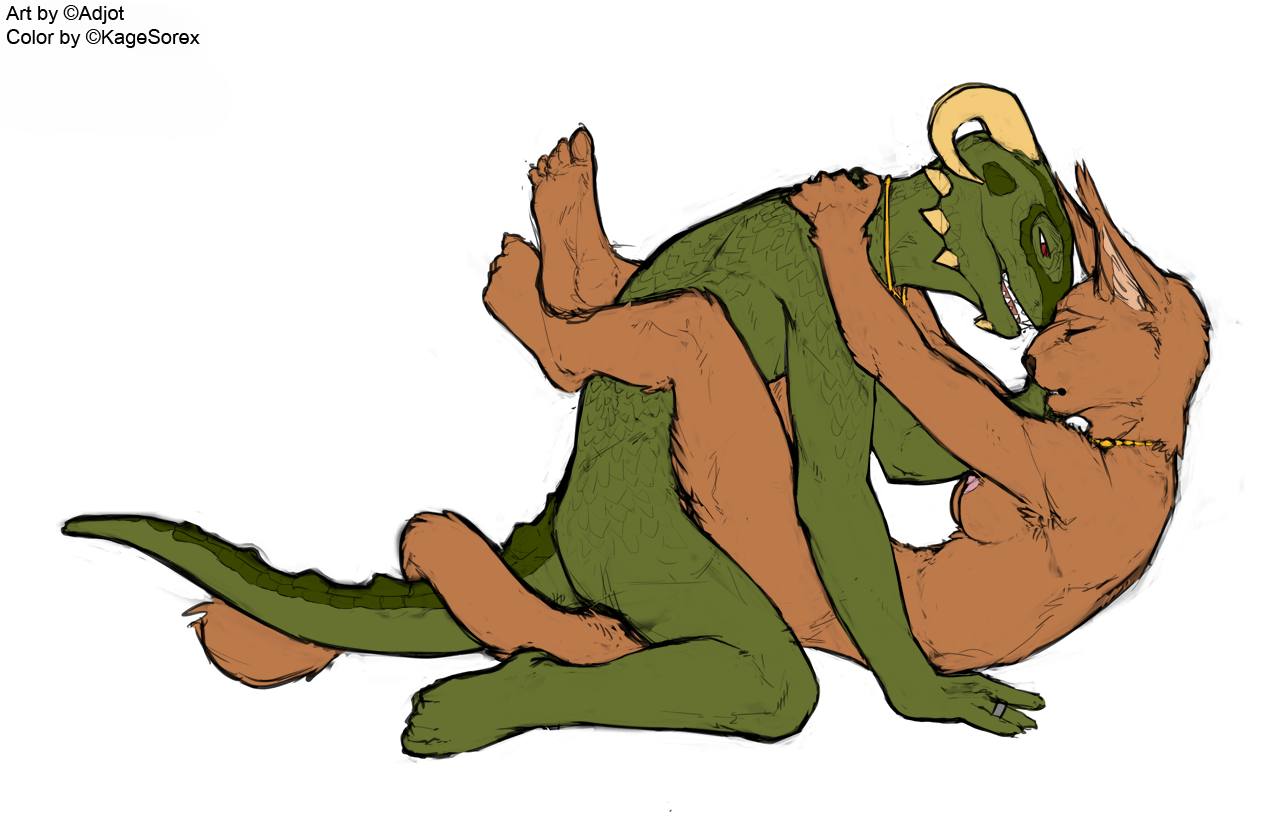 Rule34 – If it exists, there is porn of it / adjot, kagesorex, argonian, derkeethus, khajiit / 506052