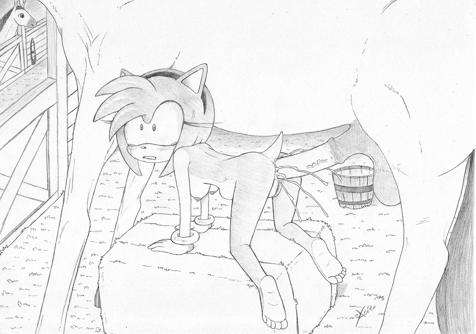 Rule34 – If it exists, there is porn of it / excito, amy rose / 507777