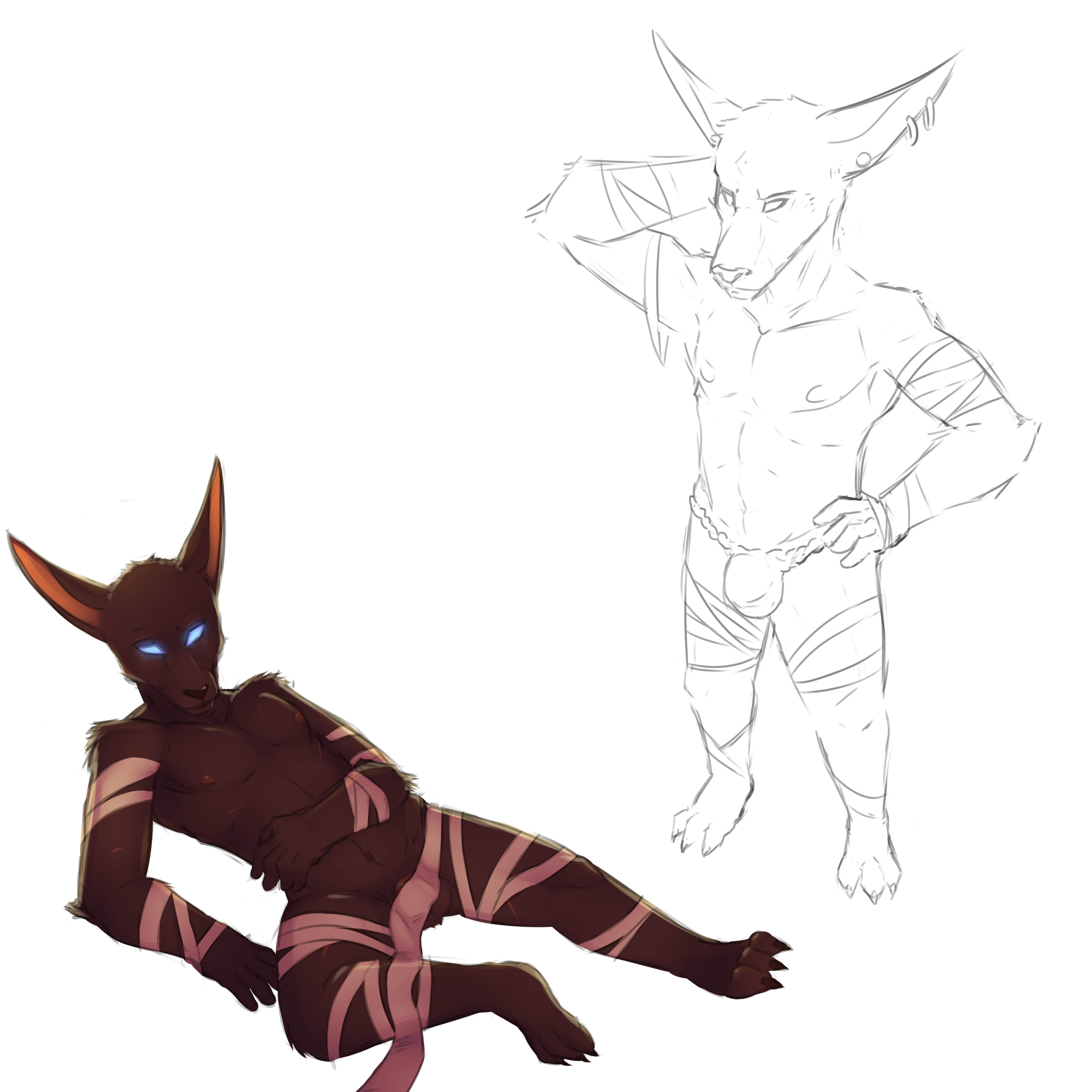 Rule34 – If it exists, there is porn of it / furfit, nasus / 507781