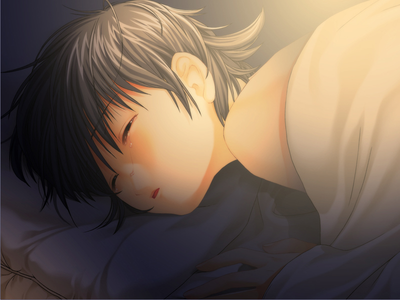 ein (phantom of inferno), phantom of inferno, game cg, tagme, 1girl, brown eyes, female focus, grey hair, phatnom integration, solo, tears