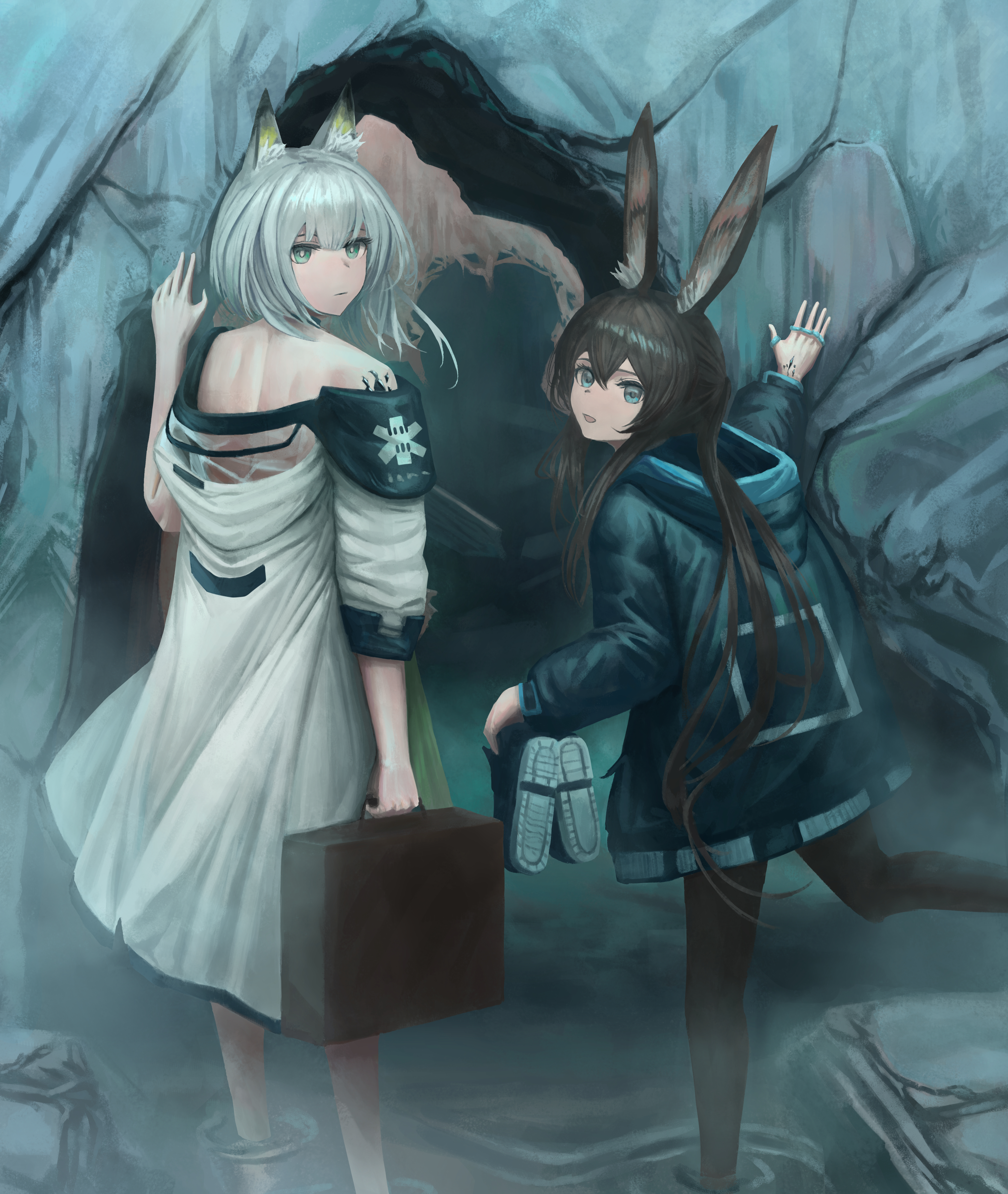 twckb, amiya (arknights), kal'tsit (arknights), arknights, absurdres, highres, 2girls, animal ears, briefcase, brown hair, cave, green eyes, holding, holding briefcase, holding shoes, holding unworn clothes, jacket, long hair, looking at viewer, looking back, multiple girls, shoes, short hair, unworn shoes, water, white hair