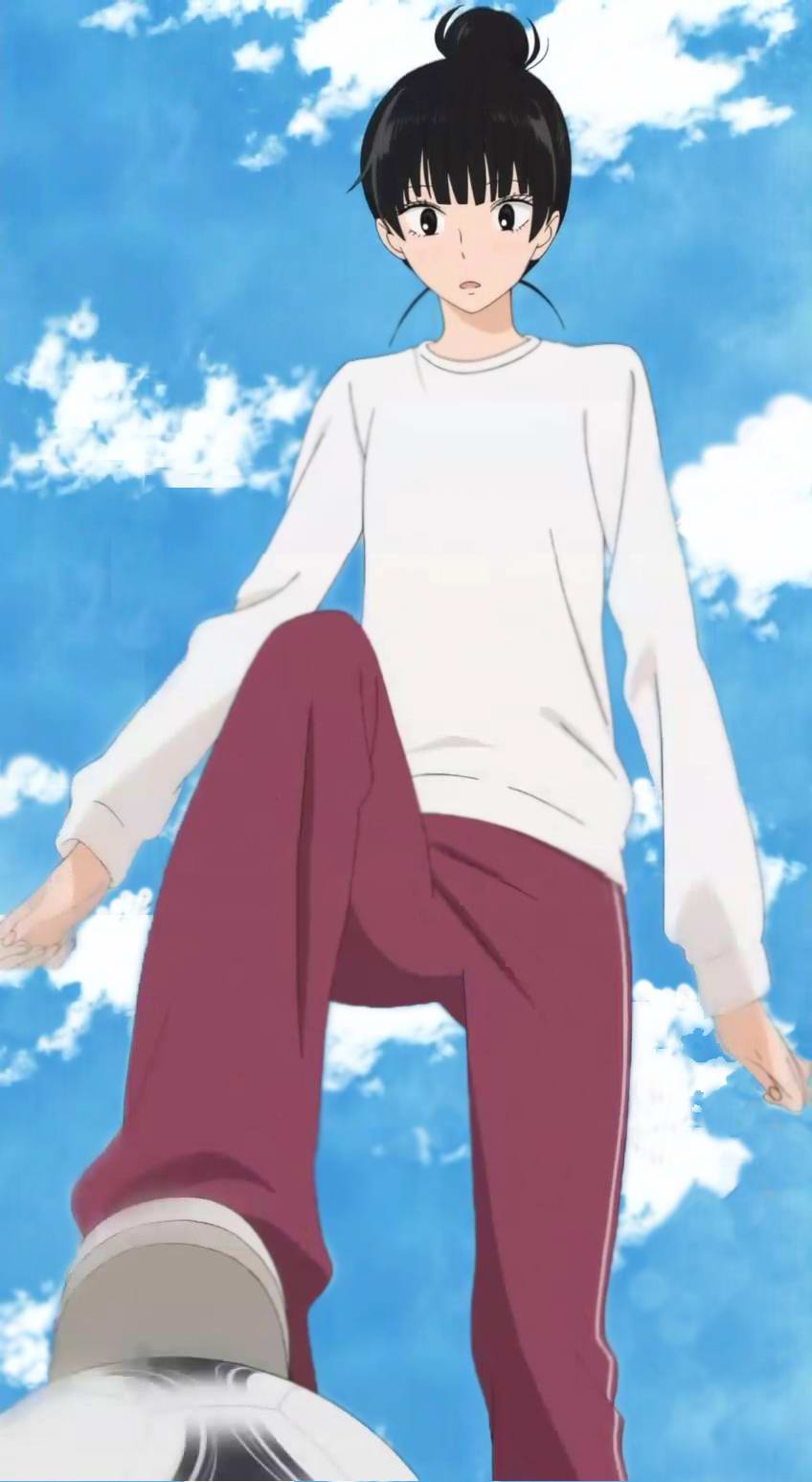 kuronuma sawako, kimi ni todoke, anime screenshot, highres, 00s, alternate hairstyle, kiminitodoke, solo