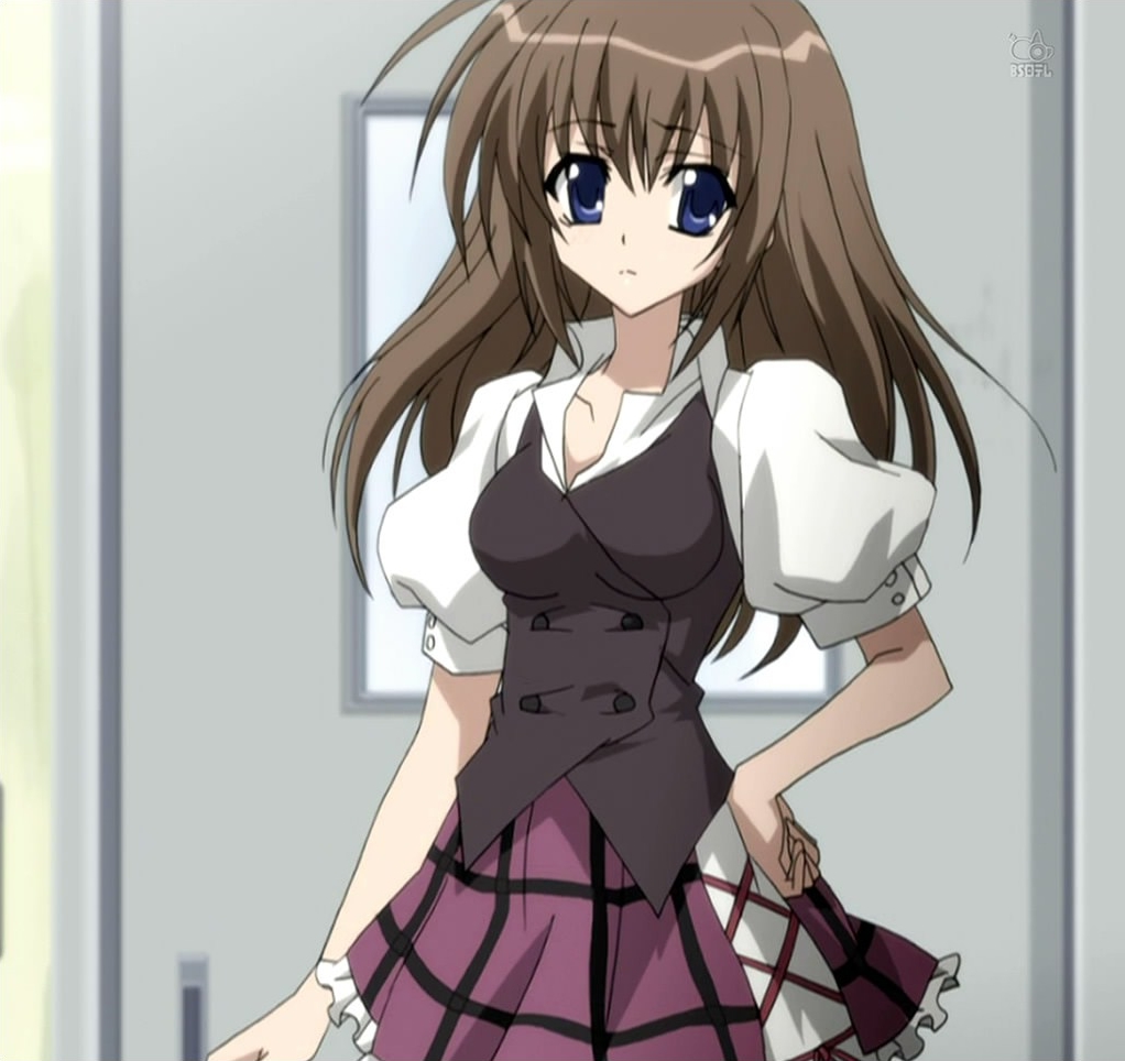 shiina minatsu, seitokai no ichizon, anime screenshot, stitched, third-party edit, 00s, alternate hairstyle, blue eyes, brown hair, hair down, school uniform, screen, solo