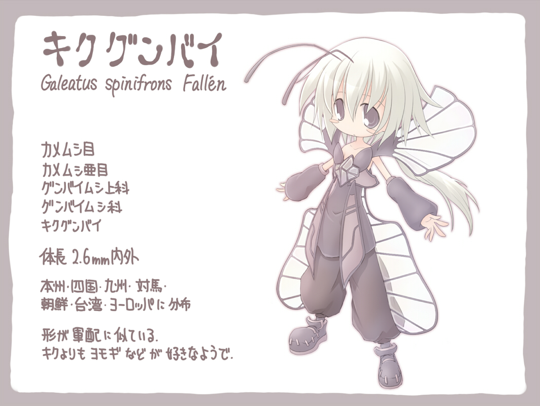 nekoguruma, original, pixiv insects, character request, translation request, 1girl, antennae, female focus, personification, solo