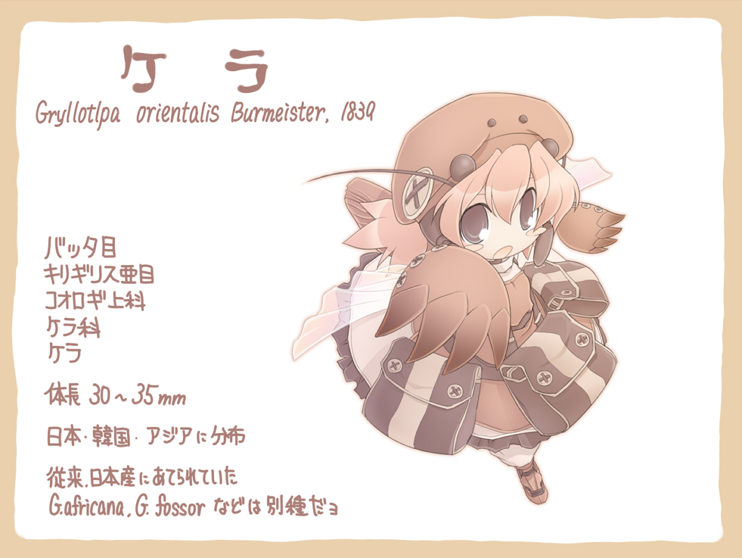 nekoguruma, original, pixiv insects, character request, translation request, 1girl, female focus, personification, pink hair, solo