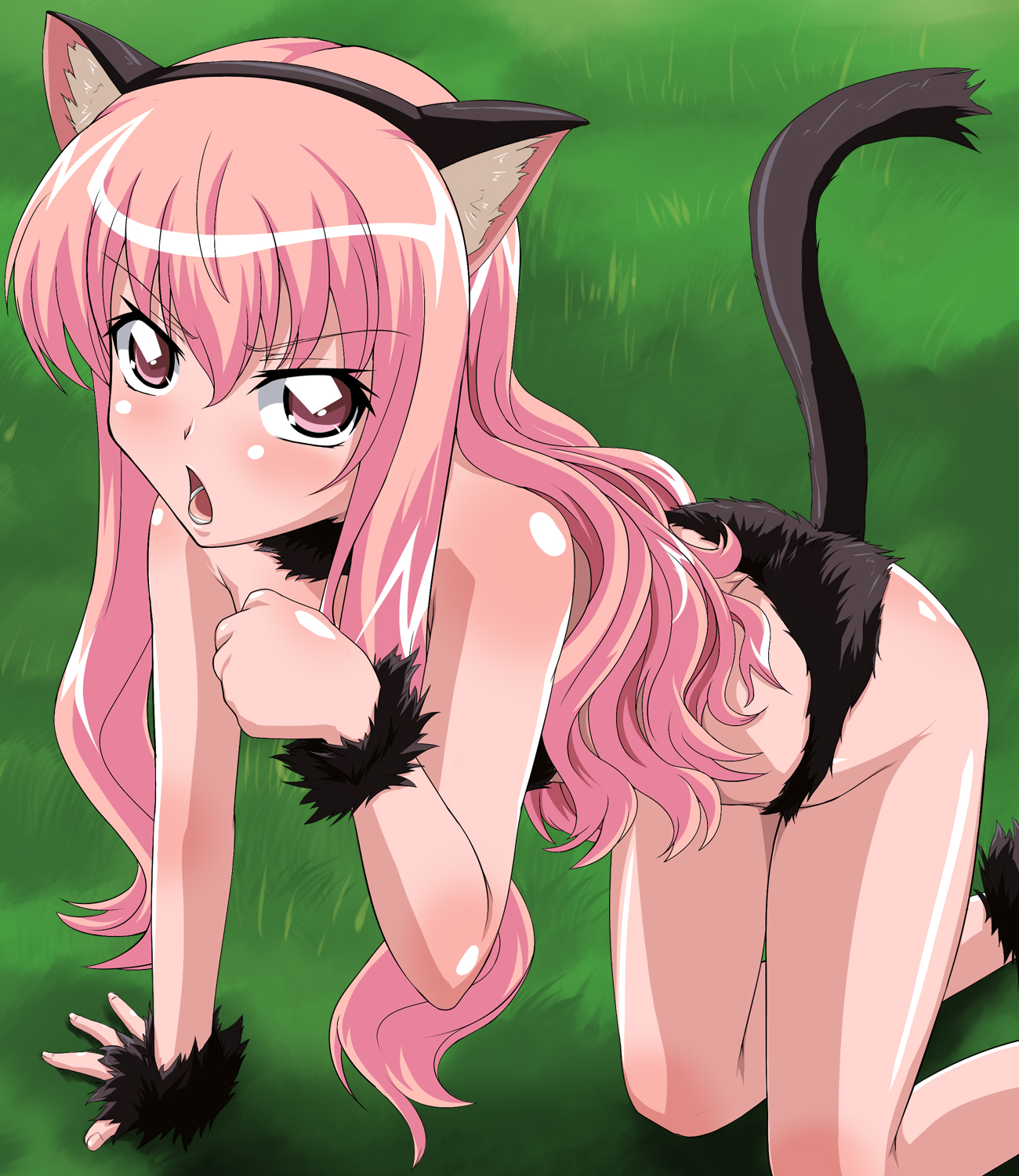 asu hare, louise francoise le blanc de la valliere, zero no tsukaima, highres, 00s, pink hair