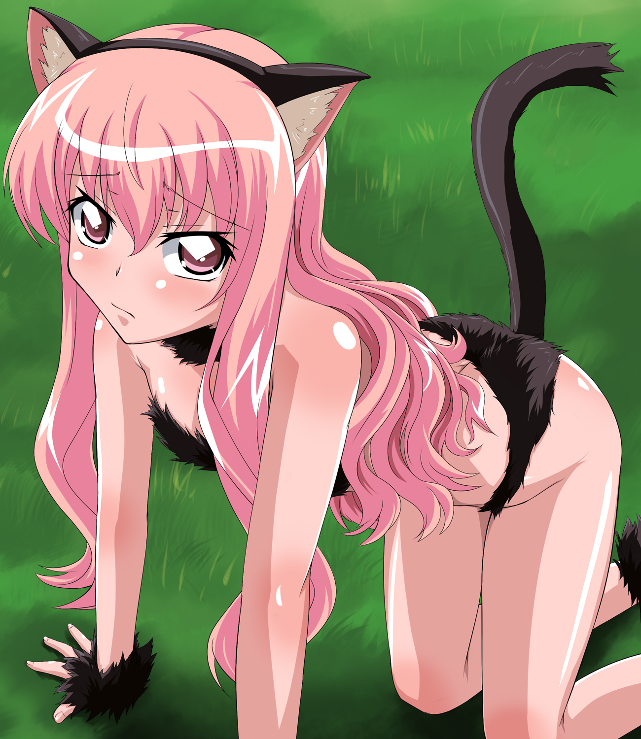 asu hare, louise francoise le blanc de la valliere, zero no tsukaima, highres, 00s, pink hair