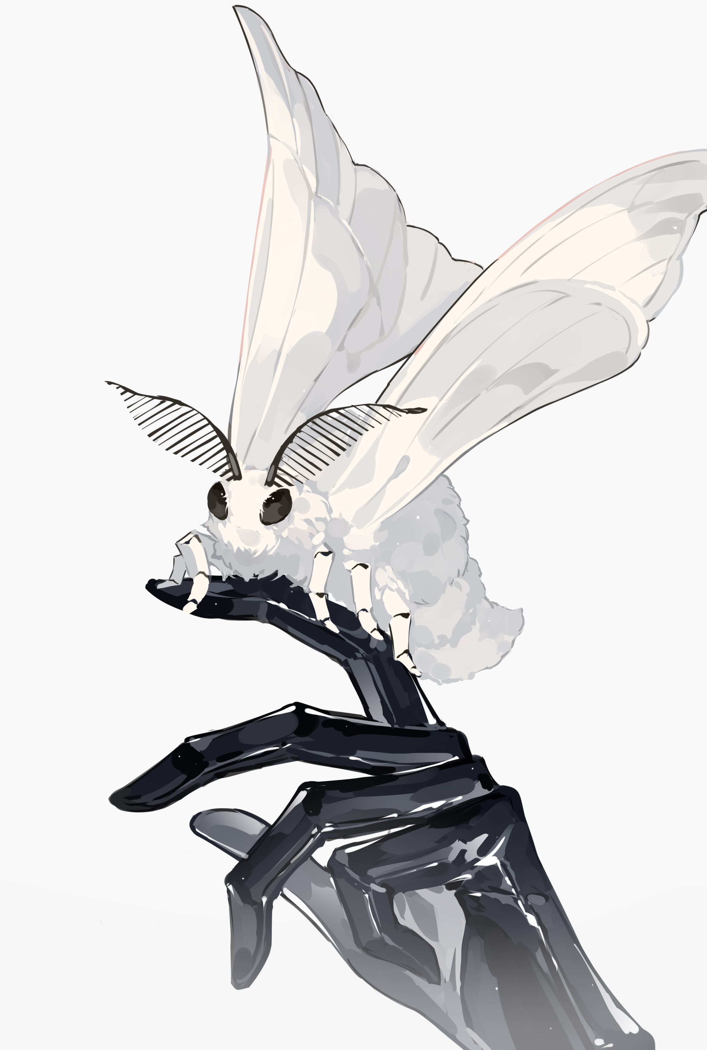 kazenemuri, blanca (fate), oberon (fate), oberon (third ascension) (fate), fate/grand order, fate (series), absurdres, commentary request, highres, 1boy, bug, insect, insect wings, moth, simple background, white background, wings