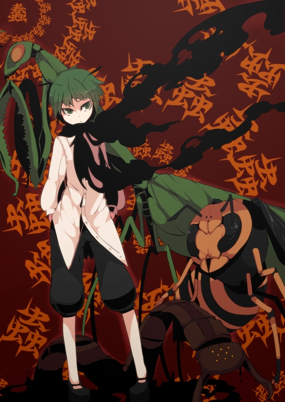 fuurin (omaemona), wriggle nightbug, touhou, bad id, bad pixiv id, 1girl, androgynous, antennae, bug, cape, centipede, dress shirt, female focus, full body, pants, praying mantis, reverse trap, shirt, shoes, solo, standing, wasp