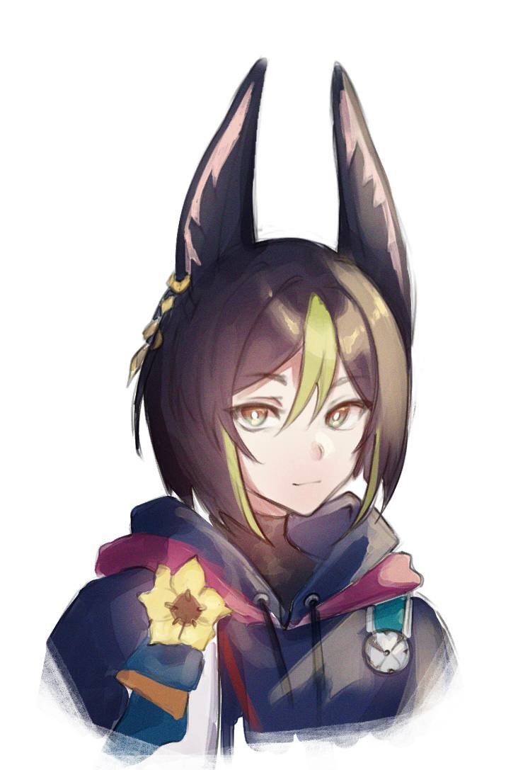 den99, tighnari (genshin impact), genshin impact, portrait, sketch