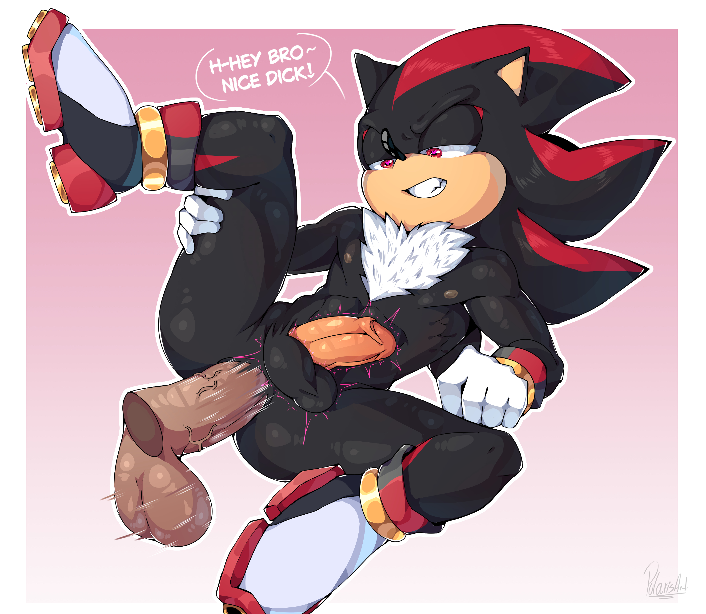 Rule34 – If it exists, there is porn of it / shadow the hedgehog / 9905909