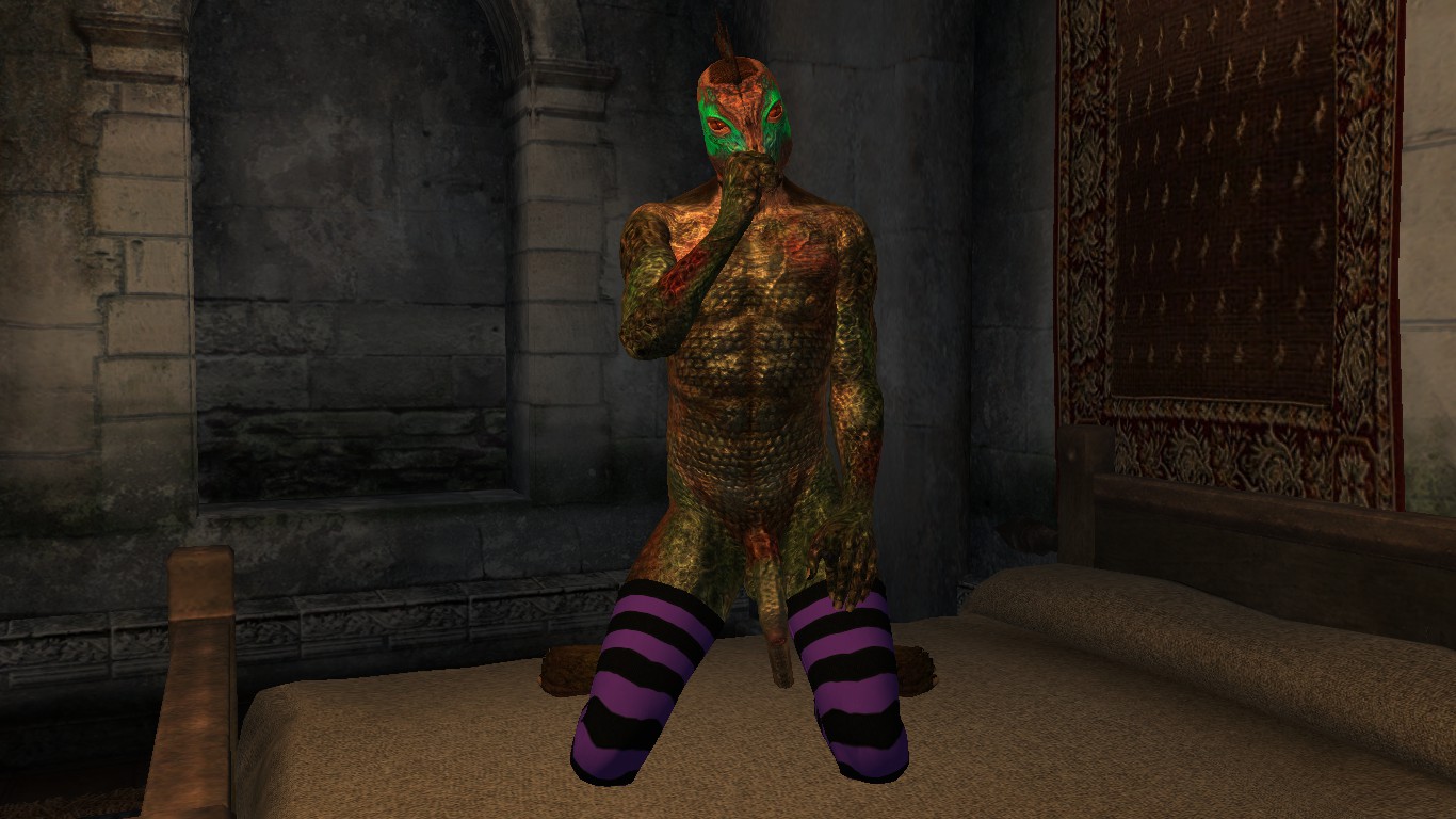 Rule34 – If it exists, there is porn of it / argonian / 511210