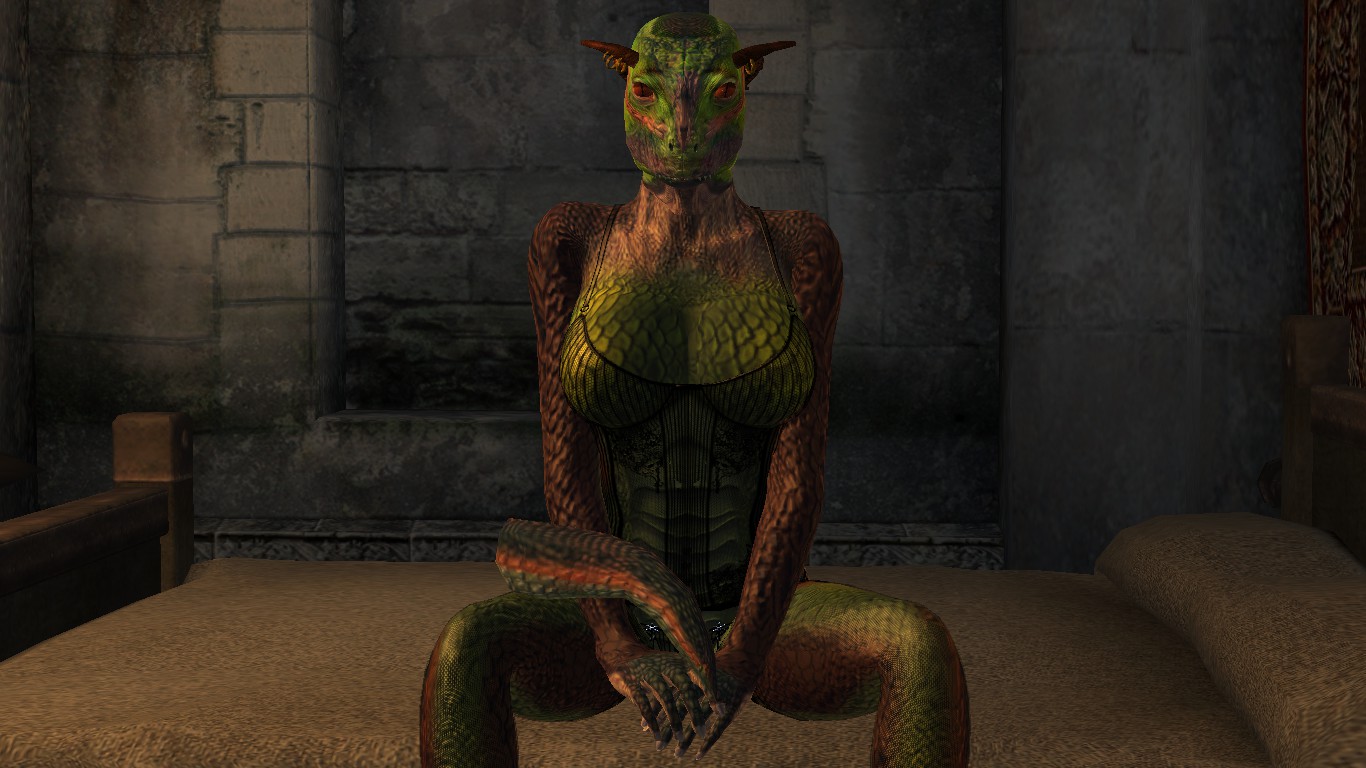 Rule34 – If it exists, there is porn of it / argonian / 511451