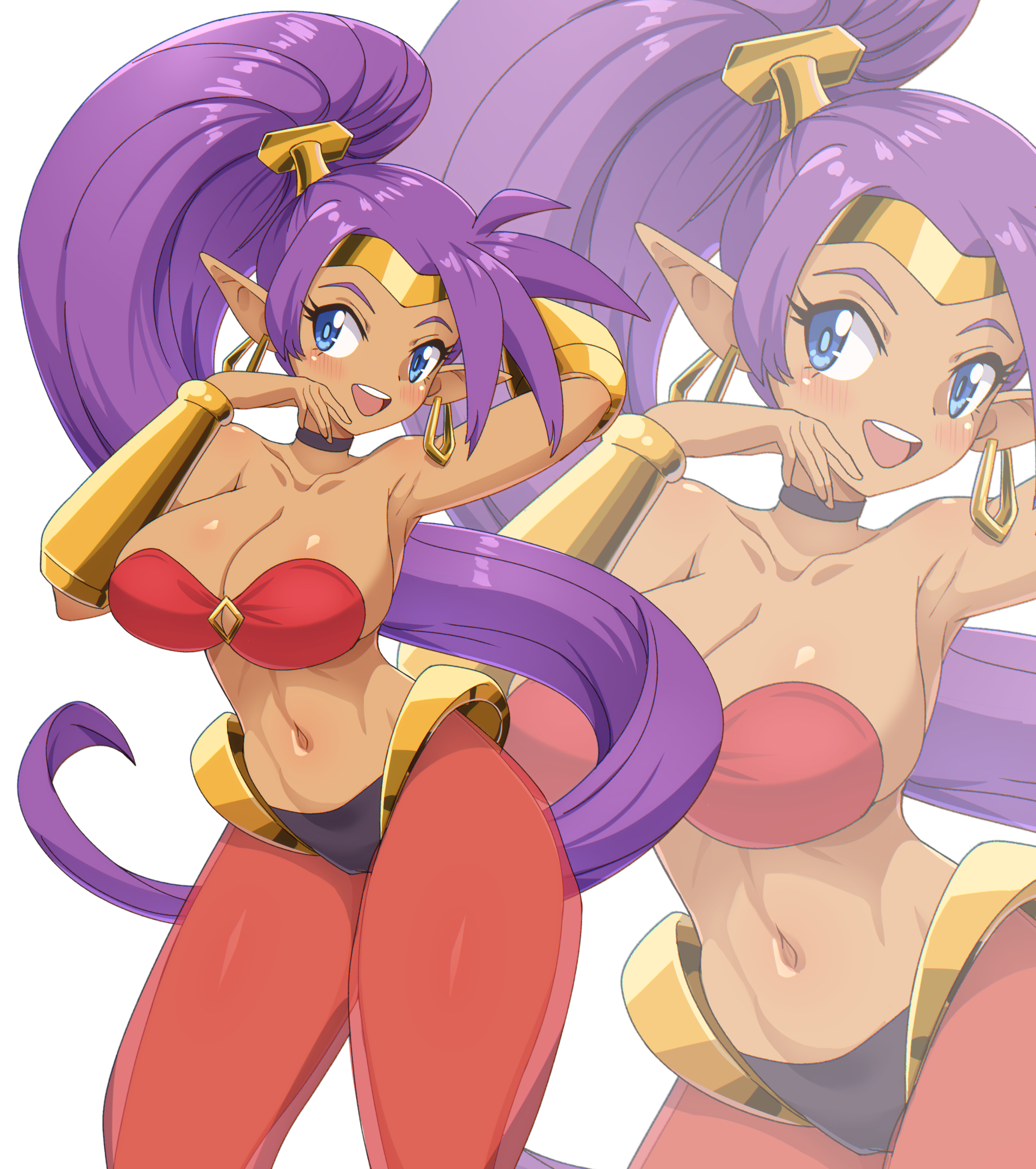 Rule34 – If it exists, there is porn of it / shantae (character) / 10025310