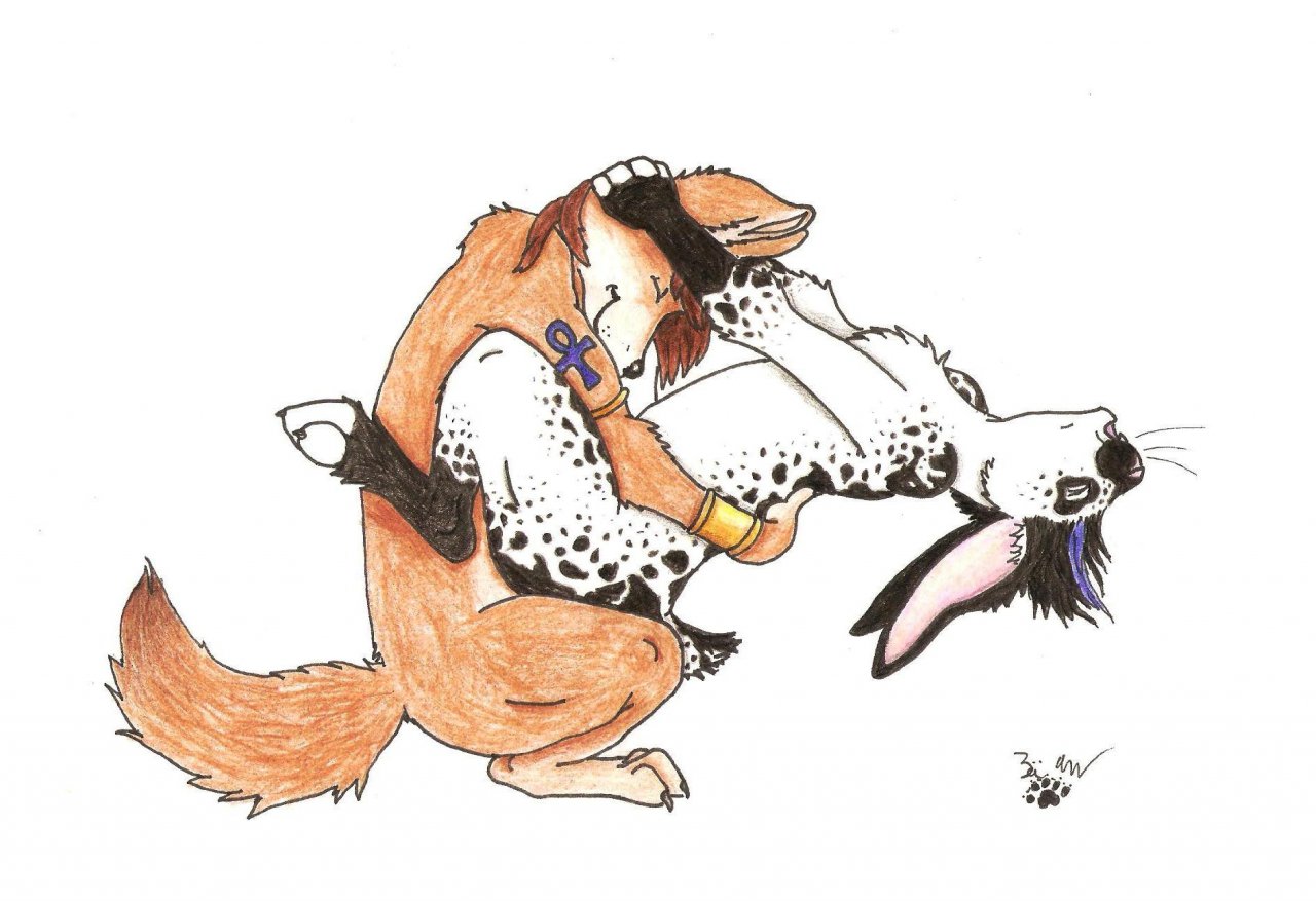 Rule34 – If it exists, there is porn of it / draxa (artist), jake, wesley (character) / 516261