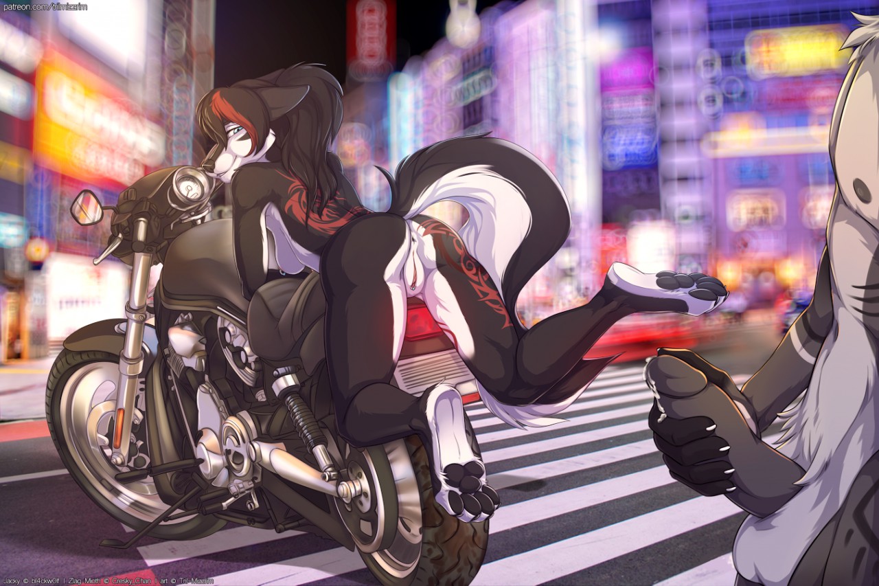 Rule34 – If it exists, there is porn of it / tril-mizzrim, jacki northstar / 516460