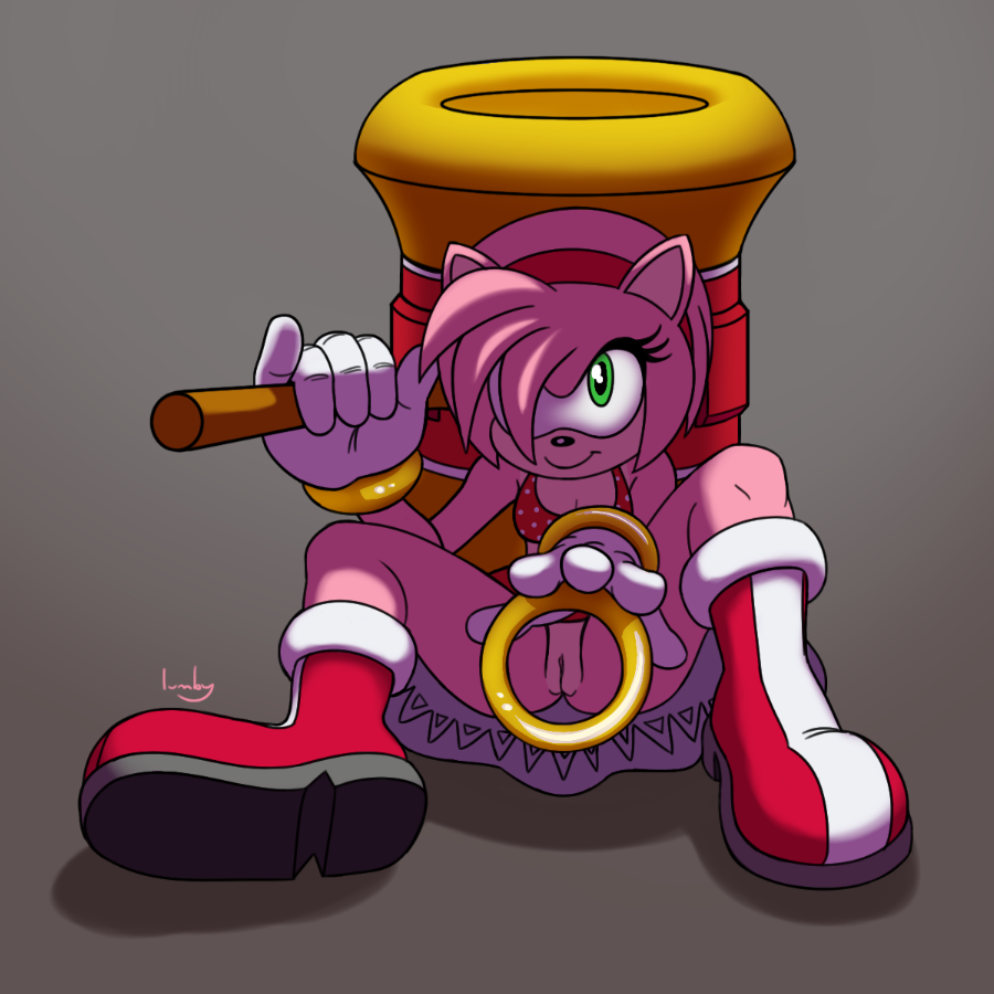 Rule34 – If it exists, there is porn of it / lumby, amy rose / 517294