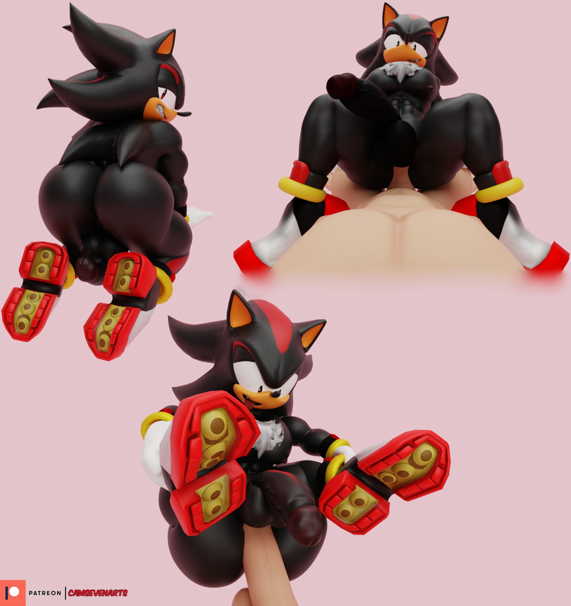 Rule34 – If it exists, there is porn of it / shadow the hedgehog / 10064658