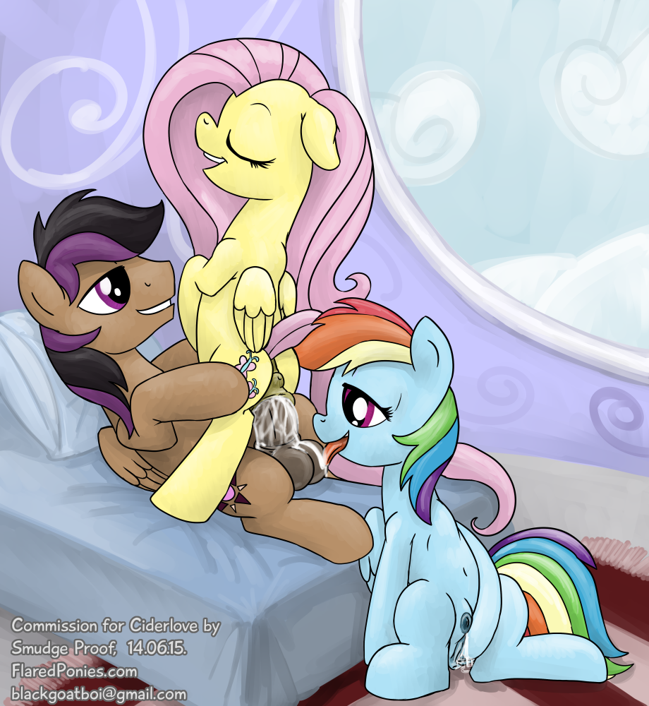 Rule34 – If it exists, there is porn of it / smudge proof, fluttershy (mlp), rainbow dash (mlp), stellar eclipse (mlp) / 518569