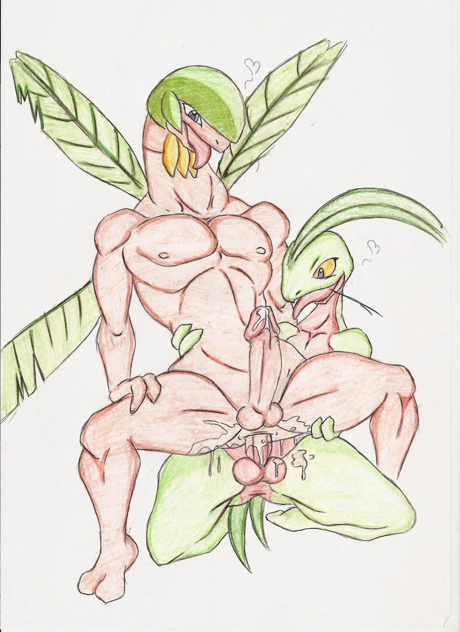 Rule34 – If it exists, there is porn of it / dark-moltres / 520561