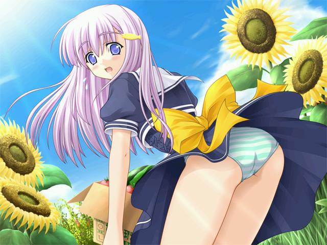 kikuchi seiji, konoe nanami, lamune, game cg, 00s, 1girl, blue eyes, blush, box, cloud, day, female focus, flower, long hair, panties, purple hair, ribbon, sky, solo, striped clothes, striped panties, sunflower, underwear, upskirt, wind