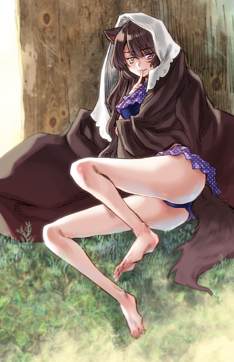 takanashi ringo, inui toko, nijisanji, commentary request, highres, 1girl, animal ears, ass, bare legs, barefoot, bikini, blue bikini, blurry, breasts, brown hair, brown kimono, brown tail, depth of field, dog ears, dog girl, dog tail, finger to mouth, frilled bikini, frills, full body, grass, hand up, heterochromia, index finger raised, japanese clothes, kimono, lips, long hair, looking at viewer, lying, medium breasts, multicolored bikini, on side, outdoors, polka dot, polka dot bikini, purple bikini, red eyes, shushing, smile, solo, swimsuit, tail, two-tone bikini, unmoving pattern, very long hair, virtual youtuber, wrapped up, yellow eyes