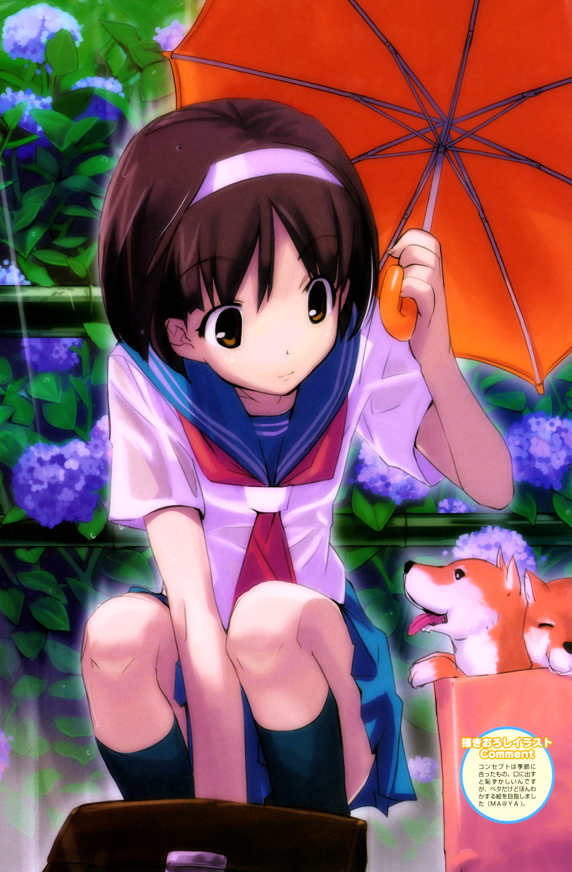 ma@ya, megami magazine, megami magazine deluxe, absurdres, highres, scan, 1girl, animal, bag, box, brown eyes, brown hair, cardboard box, dog, female focus, flower, for adoption, hairband, hydrangea, kneehighs, kneeling, rain, school uniform, serafuku, short hair, skirt, socks, solo, squatting, umbrella, wet