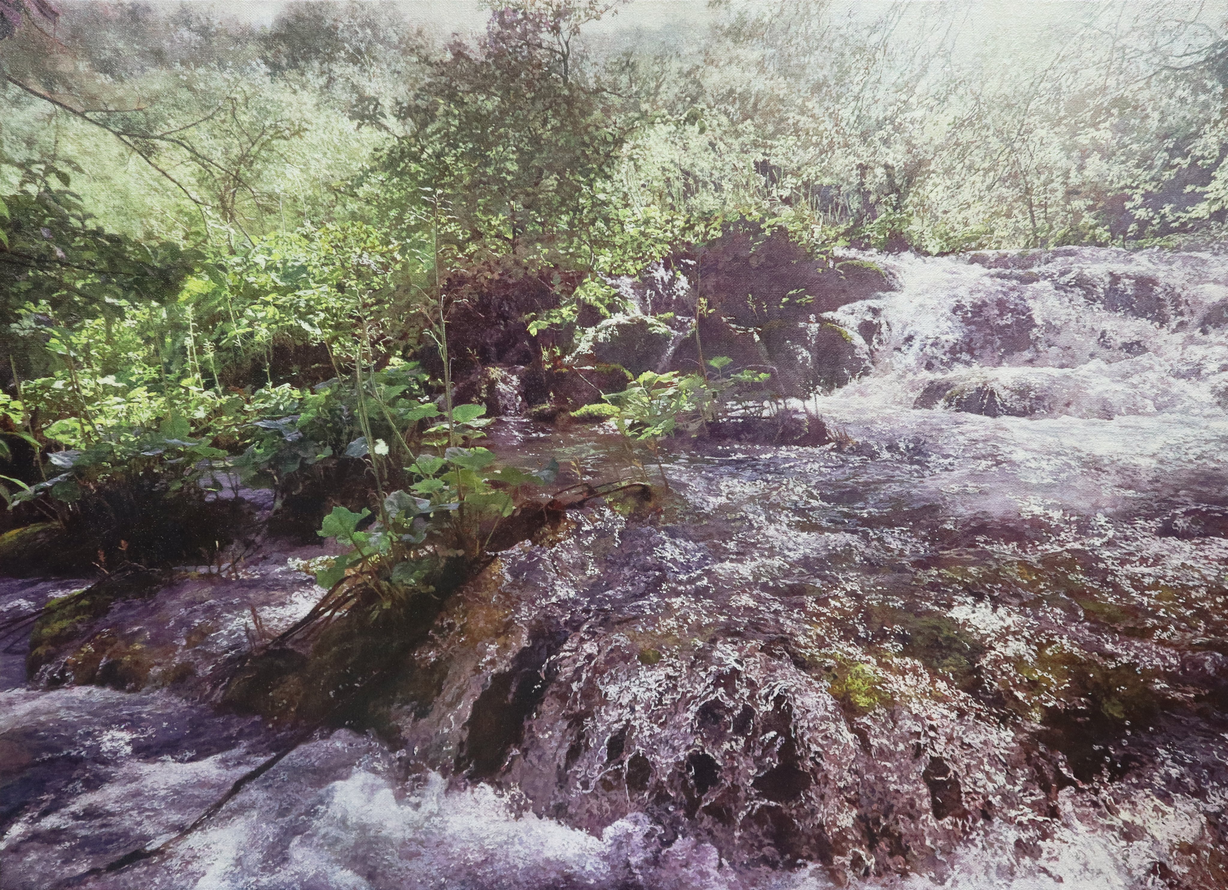 naohiro ito, original, absurdres, commentary request, highres, oil painting (medium), painting (medium), traditional media, bush, dappled sunlight, forest, grass, jungle, moss, nature, no humans, outdoors, photorealistic, plant, realistic, river, riverbank, rock, sapling, scenery, shadow, sunlight, tree, tree shade, vines, water