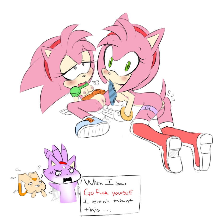 Rule34 – If it exists, there is porn of it / hearlesssoul, amy rose, blaze the cat, cream the rabbit / 523260