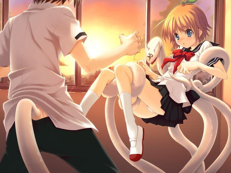 hitomaru, kyouzaki meguru, maro (tsukumono), miyakura amane, tsukumono yadorigi romance, xuse, 1boy, 1girl, ahoge, black pants, black skirt, blue eyes, blush, bow, brown hair, cloud, green ribbon, hair ribbon, monster, open mouth, orange hair, panties, pants, red bow, ribbon, school uniform, shirt, shoes, short sleeves, skirt, sky, socks, sunset, tentacles, underwear, uwabaki, white panties, white shirt, white shoes, white socks, window